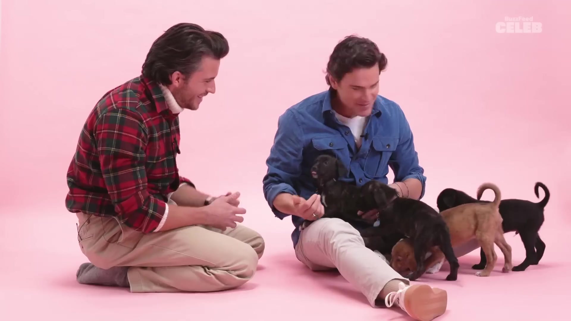 MattJonathan_PuppyInterview_JBO_0061.jpg