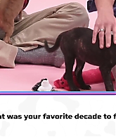 MattJonathan_PuppyInterview_JBO_0141.jpg